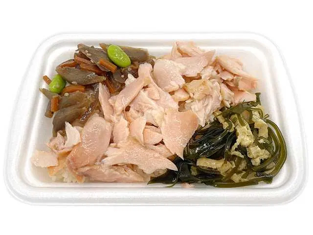 Grilled Salmon Rice Bento