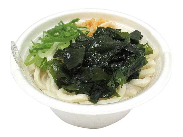Mini Wakame Udon