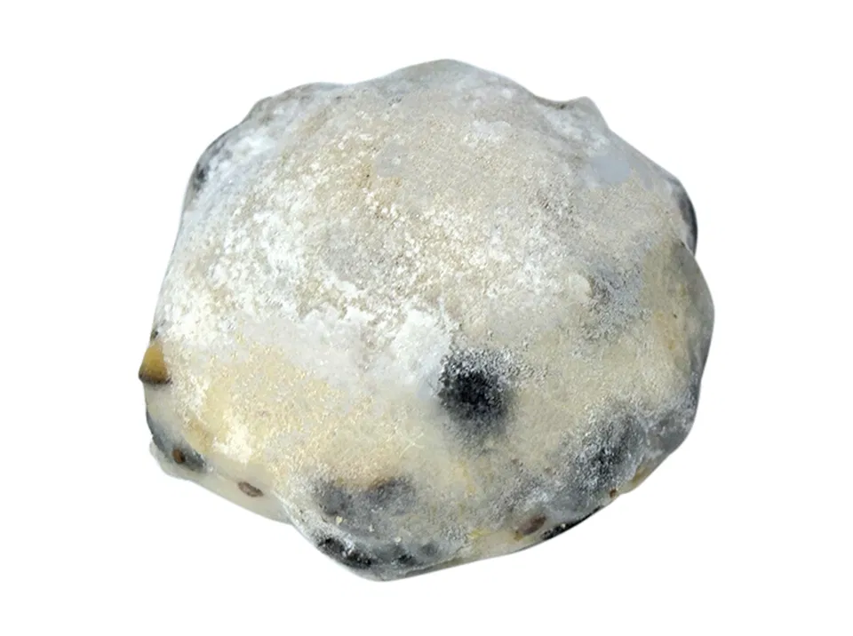 Salted-Bean Daifuku with Black Soybeans