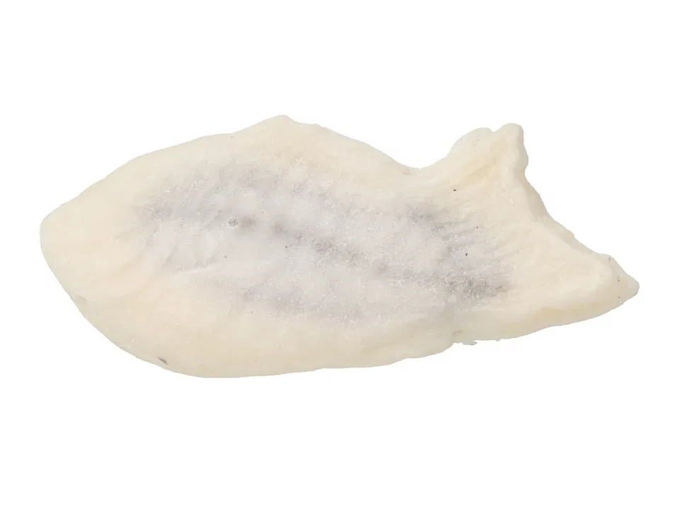 7 Premium White Mochi Taiyaki with Rich Chocolate Cream