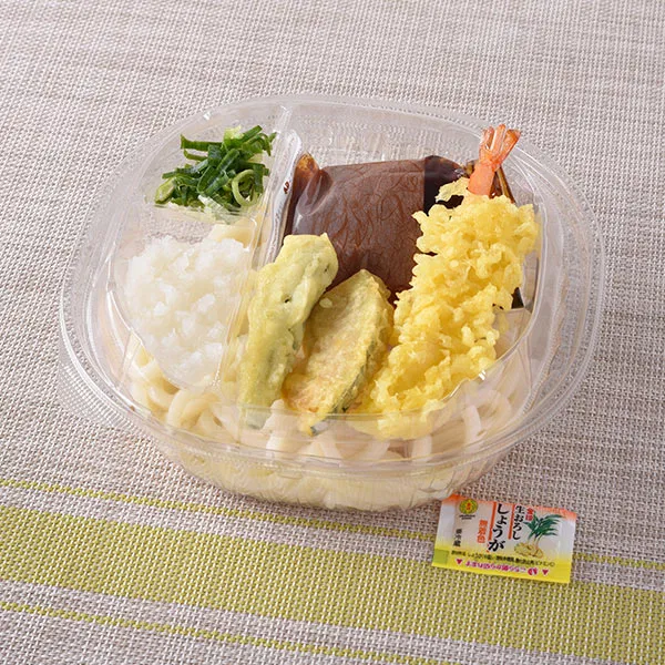 Kansai: Cold Tempura Udon