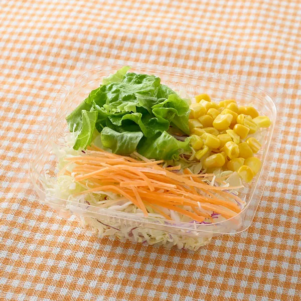 Fresh Vegetable Salad
