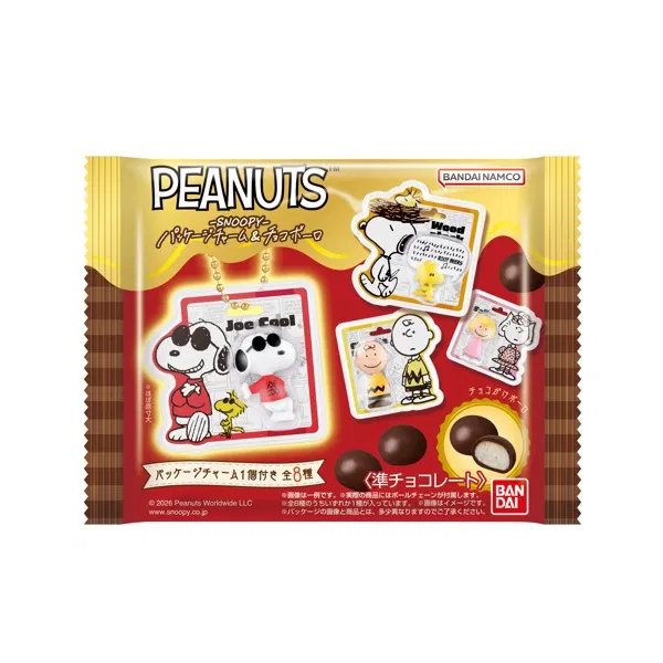 PEANUTS -SNOOPY- Package Charm & Chocolate-coated Bolo Cookies