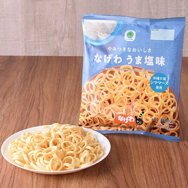 Irresistible Nagewa Umami Salt Flavor