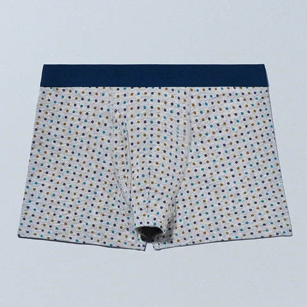 Boxer Shorts 2026 Autumn Color Dot Gray