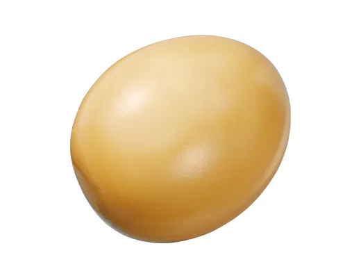Dashi-Soaked Oden Egg