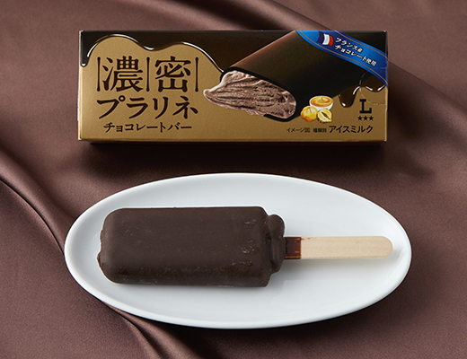Rich Praline Chocolate Ice Cream Bar